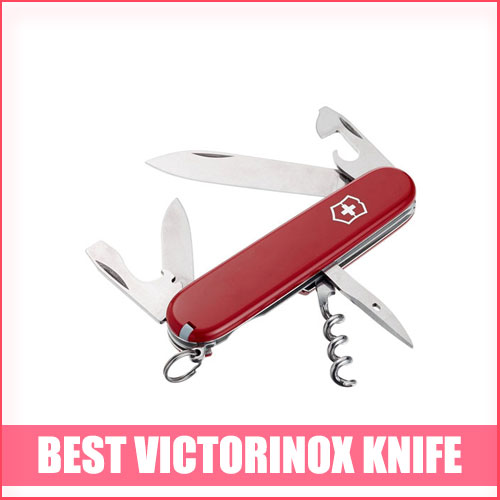 Best Victorinox Knife 2024