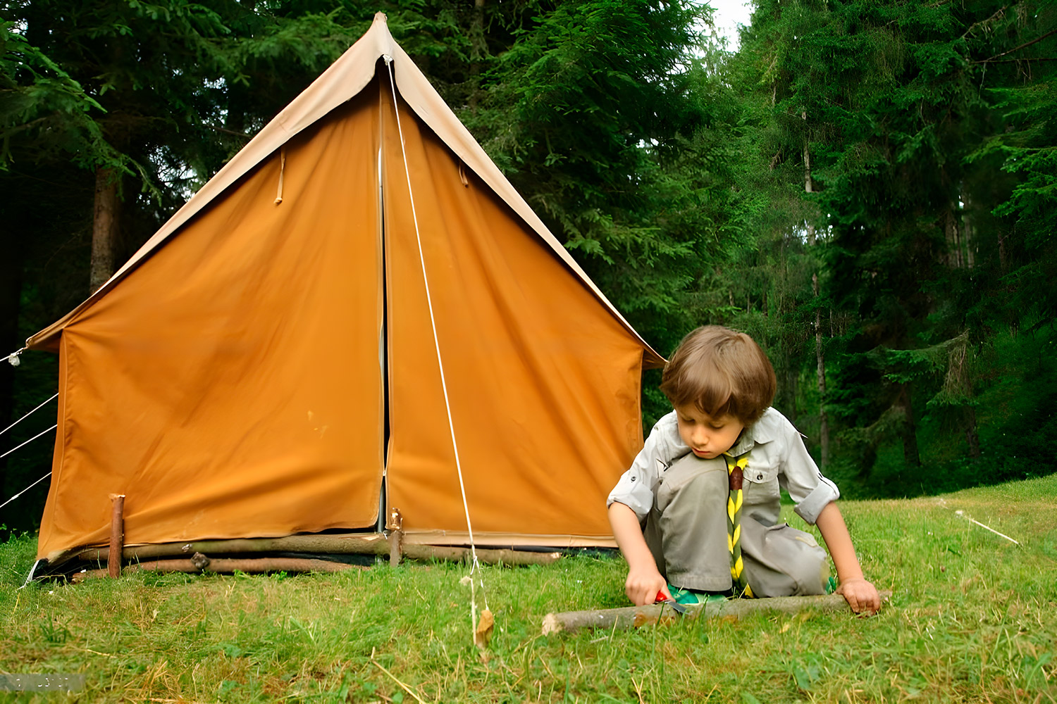 Best Tent For Boy Scouts