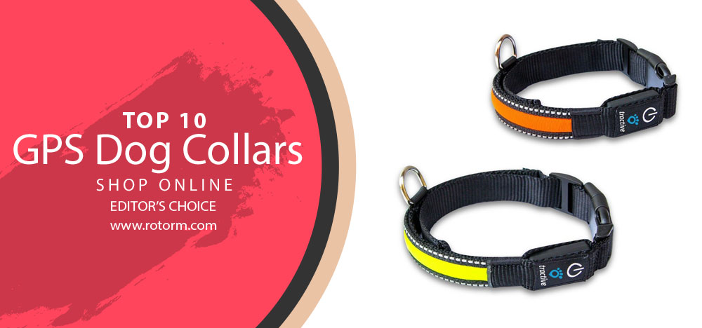 Best GPS Dog Collars - Editor's Choice