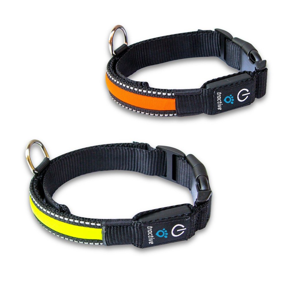 Read more about the article Best GPS Dog Collars 2024