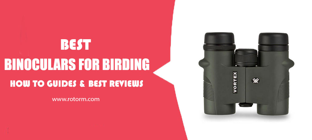 Best Binoculars for Birding