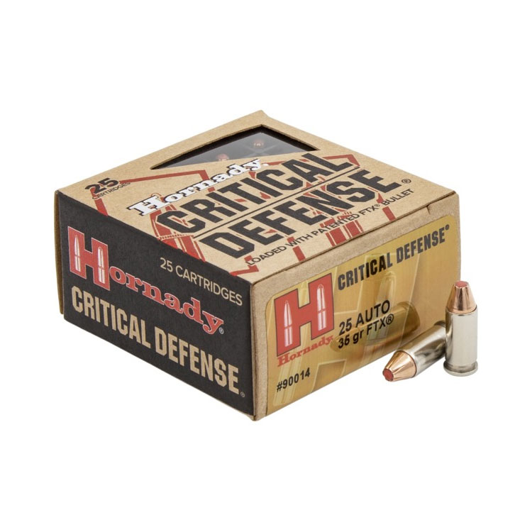 Read more about the article Best 25 ACP Ammo 2024
