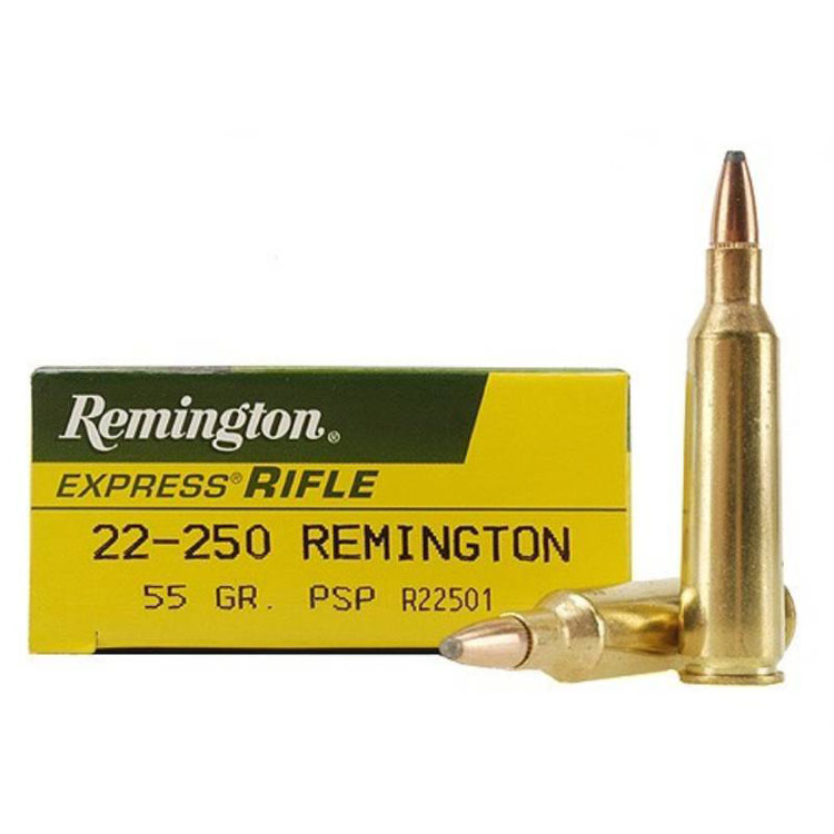 Read more about the article Best 22-250 Ammo 2024