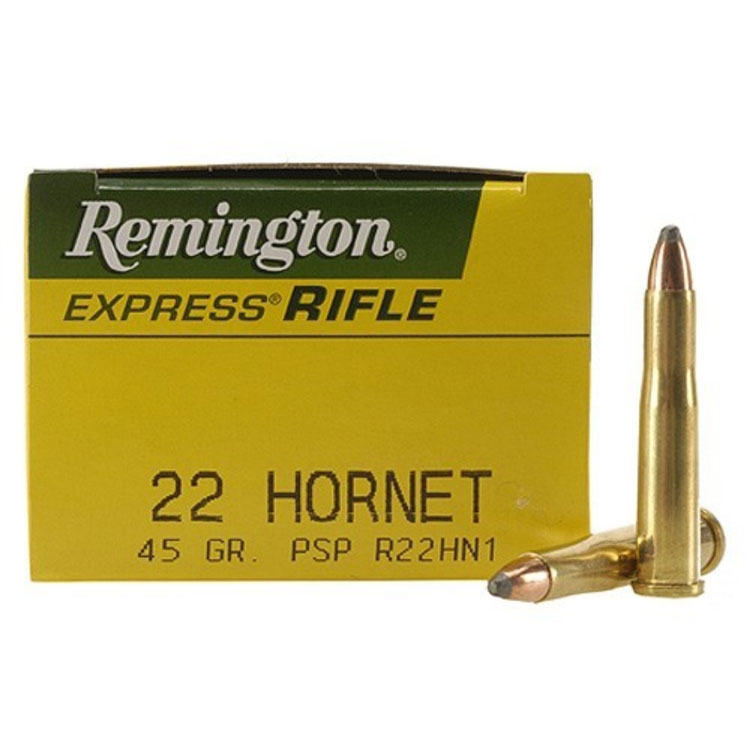 Best 22 Hornet Ammo 2024