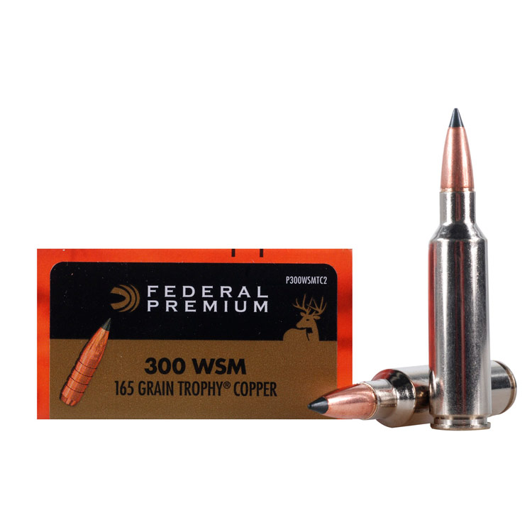 Read more about the article Best 300 WSM Ammo 2024