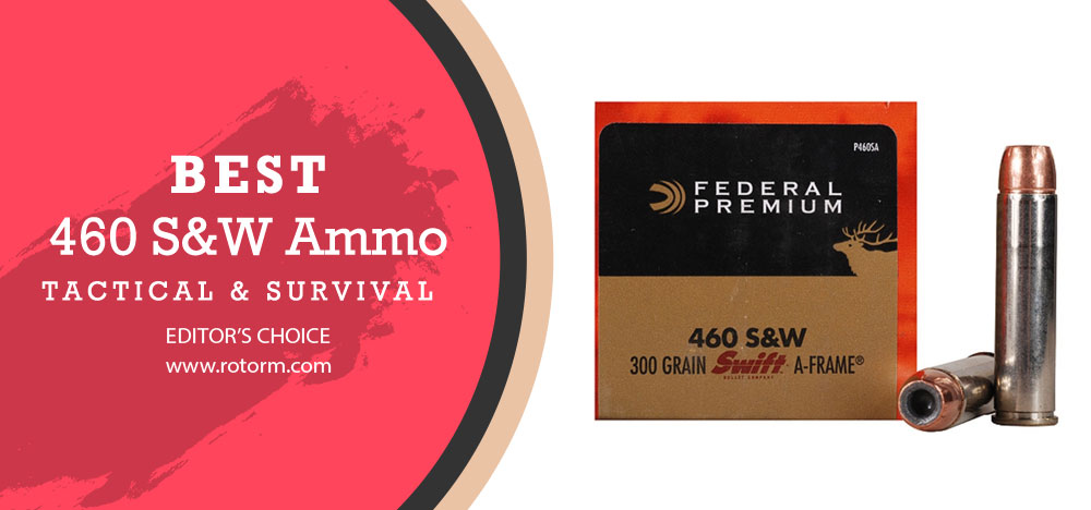 Best 460 S&W Ammo - Editor's Choice