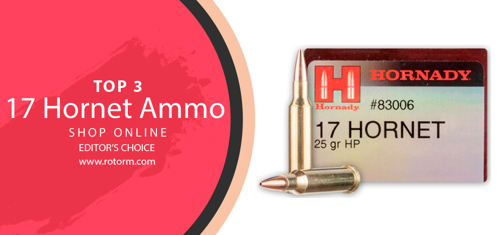Best 17 Hornet Ammo
