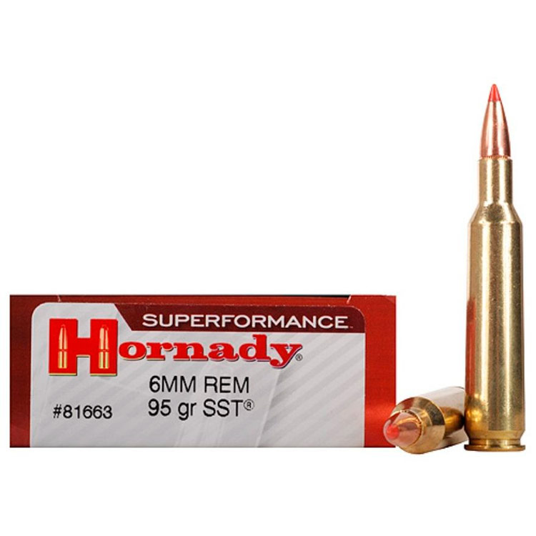 Read more about the article Best 6mm Remington Ammo 2024
