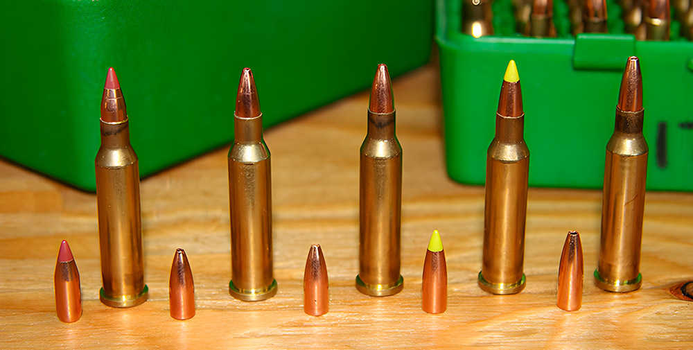 Types of .17 Hornet ammunition