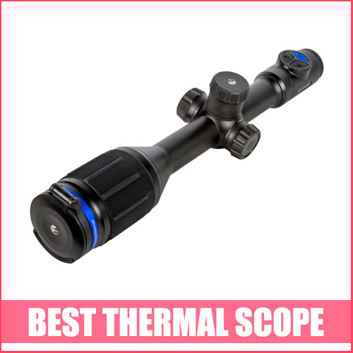 Best Thermal Scope For The Money