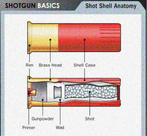 How to reload shotgun slugs?