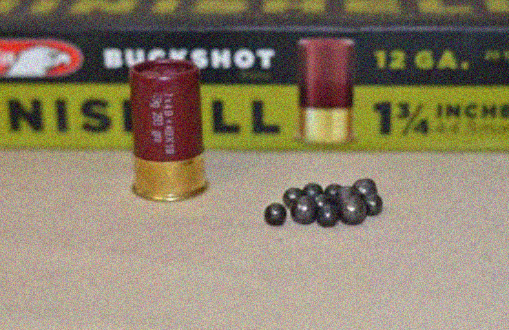 Can you reload mini shotgun shells?