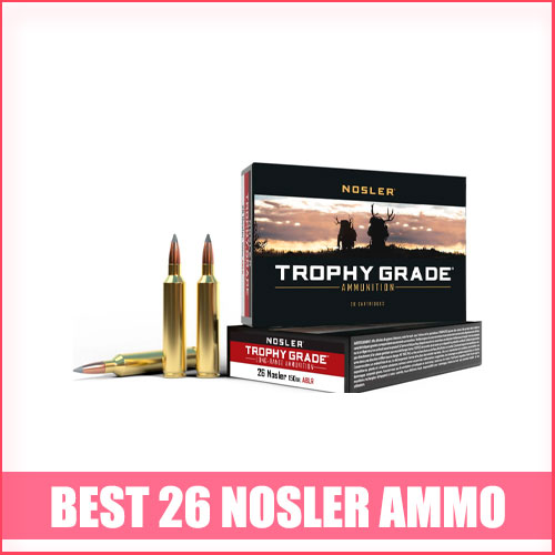 Best 26 Nosler Ammo