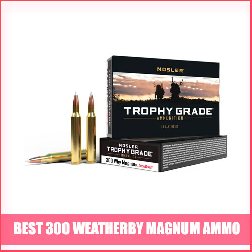 Best 300 Weatherby Magnum Ammo
