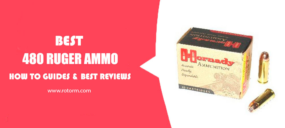 Best 480 Ruger Ammo Reviews