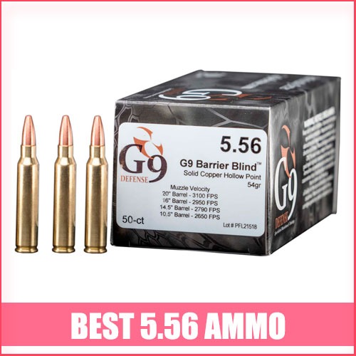 Read more about the article Best 5.56 Ammo