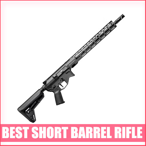 Best Short Barrel Rifle