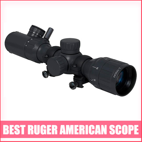 Read more about the article Best Ruger American Scope